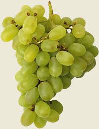 موسوعة( الخضروات &الفواكه)  Green%252520grape%252520cluster%2525202